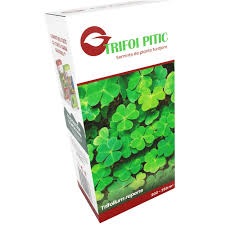 Seminte de trifoi pitic alb 500 gr