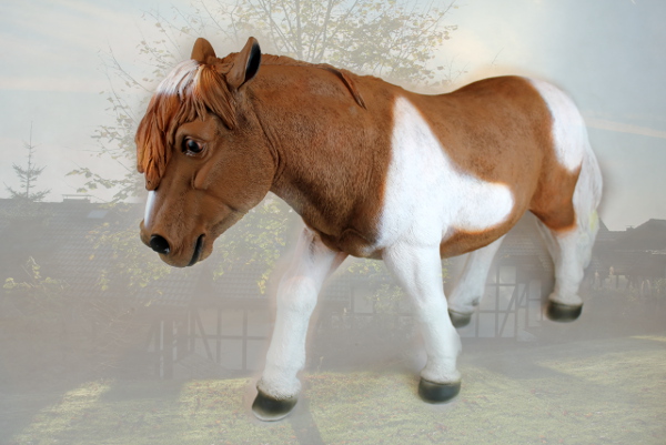 Element decor Pony H 38cm, T 85cm, B 25cm
